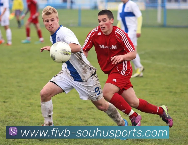 搜狐体育APP 封面图